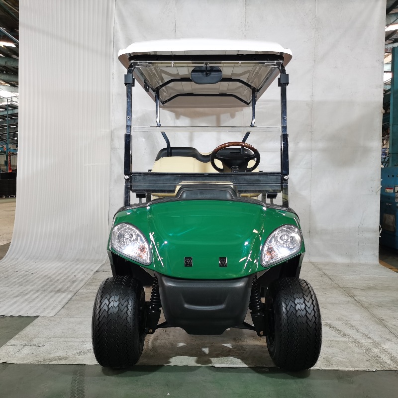 2+2 -zuiverer elektrische golfkar met lithiumbatterij