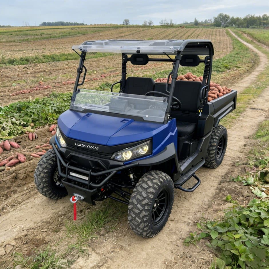 73,6 V 4WD UTV 10 kW AC-motor EPS-besturing 150 Ah batterij