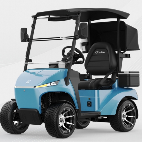 AI volgt elektrische golfkar
