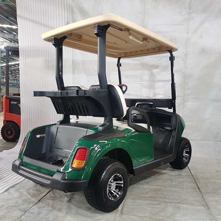 Meerkleurige elektrische golfkar met 2 zitplaatsen, uitgerust met lithiumbatterij